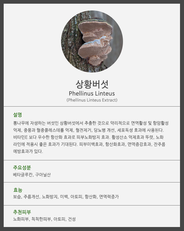 af4e7d0458046750a7a9b254b2f01838_1461116